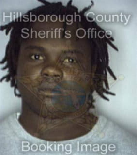 Lee Dandre - Hillsborough County, Florida 