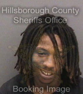 Mays Demarcus - Hillsborough County, Florida 