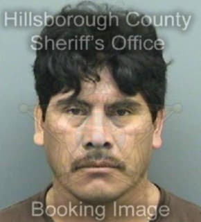 Hernandez Bartolo - Hillsborough County, Florida 
