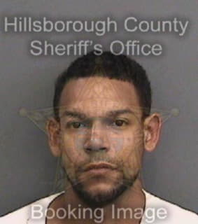 Martinez Miguel - Hillsborough County, Florida 