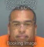 Gonzalez Alejandro - Pinellas County, Florida 