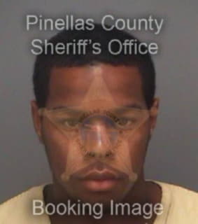 Anderson Anthony - Pinellas County, Florida 