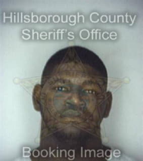 Anderson Emmit - Hillsborough County, Florida 