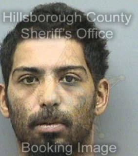 Rivera Francisco - Hillsborough County, Florida 