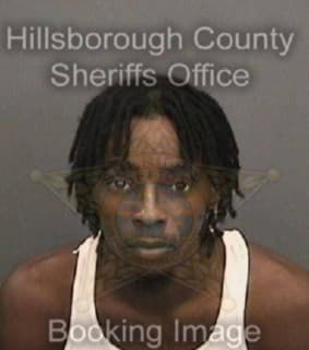 Jones Jeremy - Hillsborough County, Florida 