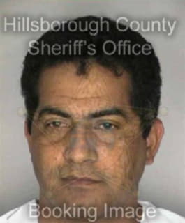 Lopez Omar - Hillsborough County, Florida 