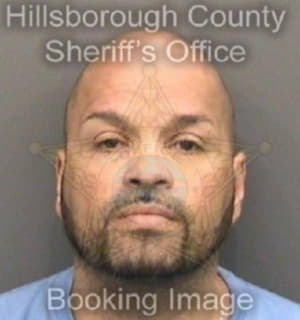 Rivera Peter - Hillsborough County, Florida 