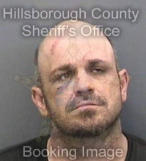 Childress Scott - Hillsborough County, Florida 