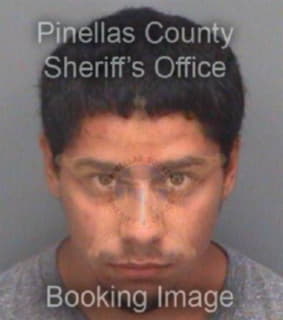 Gomez Brian - Pinellas County, Florida 