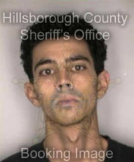 Carnathan James - Hillsborough County, Florida 