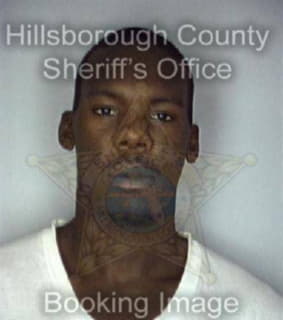 Wilson Reginald - Hillsborough County, Florida 