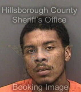 Wilkerson Ricky - Hillsborough County, Florida 