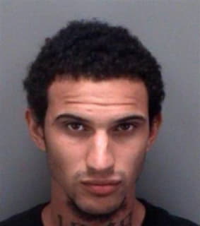 Mccray Carlos - Pinellas County, Florida 