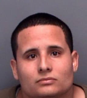 Andrade Daniel - Pinellas County, Florida 