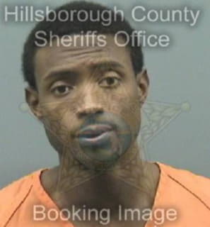 Newton Raynard - Hillsborough County, Florida 