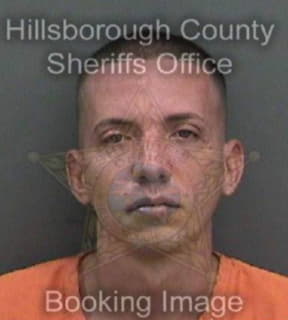 Rodriguez Ricardo - Hillsborough County, Florida 