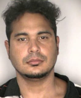 Deleon Josue - Hillsborough County, Florida 