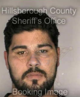 Perez Marc - Hillsborough County, Florida 