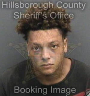 Rosario Reinaldo - Hillsborough County, Florida 