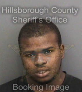 Williams Richard - Hillsborough County, Florida 