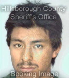 Bautistagarcia Andres - Hillsborough County, Florida 