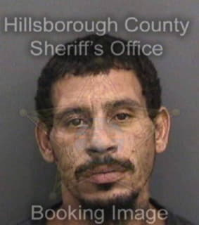 Rodriguez Christopher - Hillsborough County, Florida 