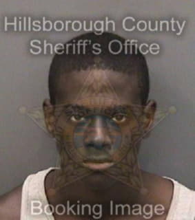 Williams Dontae - Hillsborough County, Florida 