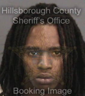 Wilson Jerome - Hillsborough County, Florida 