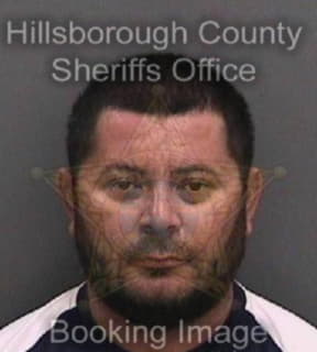 Lobofuentes Marvin - Hillsborough County, Florida 