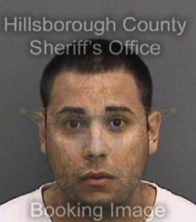 Delgado Ismaaeel - Hillsborough County, Florida 