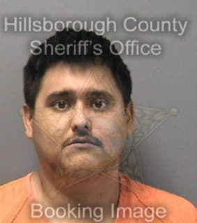 Hernandez Ivan - Hillsborough County, Florida 