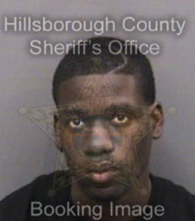 Williams Kenneth - Hillsborough County, Florida 