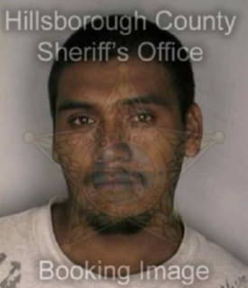 Martinez Narcisovazquez - Hillsborough County, Florida 