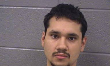 Aviles Alfonso - Cook County, Illinois 