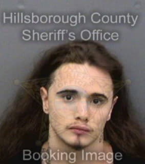 Mendoza Joshua - Hillsborough County, Florida 