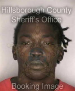 Johnson Laurice - Hillsborough County, Florida 