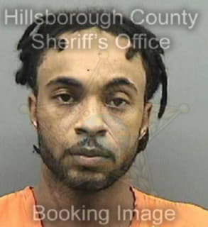 Davis Louis - Hillsborough County, Florida 