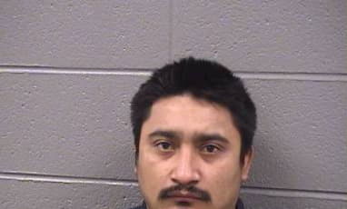 Aranas Armando - Cook County, Illinois 