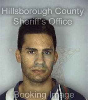 Reyes Carlos - Hillsborough County, Florida 