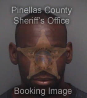 Robinson Donald - Pinellas County, Florida 