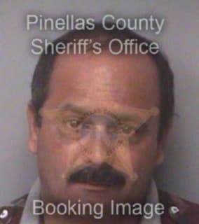 Gonzalez Imer - Pinellas County, Florida 