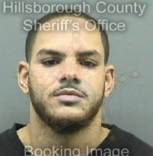 Rivera Jorrel - Hillsborough County, Florida 