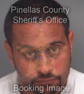 Rivas Jose - Pinellas County, Florida 