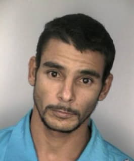 Ruiz Sixto - Hillsborough County, Florida 