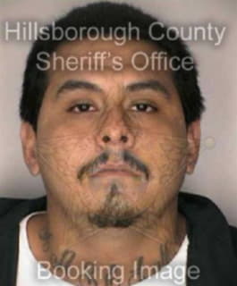 Ponce Carmelo - Hillsborough County, Florida 