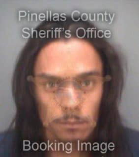 Cook Eric - Pinellas County, Florida 