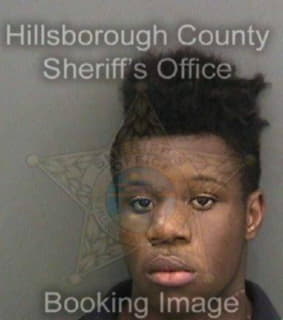 Williams Isaiah - Hillsborough County, Florida 