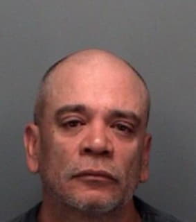 Benitez Raymond - Pinellas County, Florida 