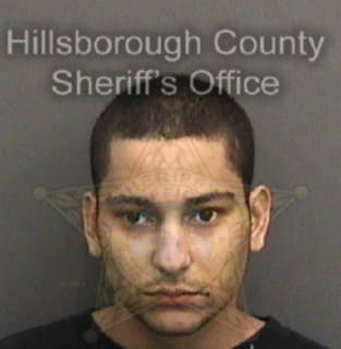 Vasquez Rodolfo - Hillsborough County, Florida 