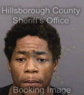 Dillard Derrick - Hillsborough County, Florida 